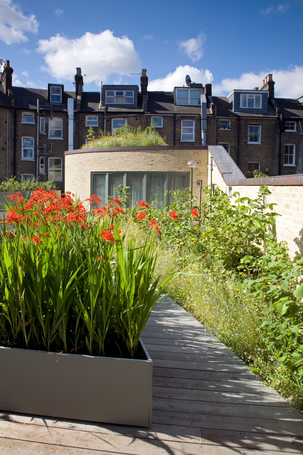 green roof garden UK