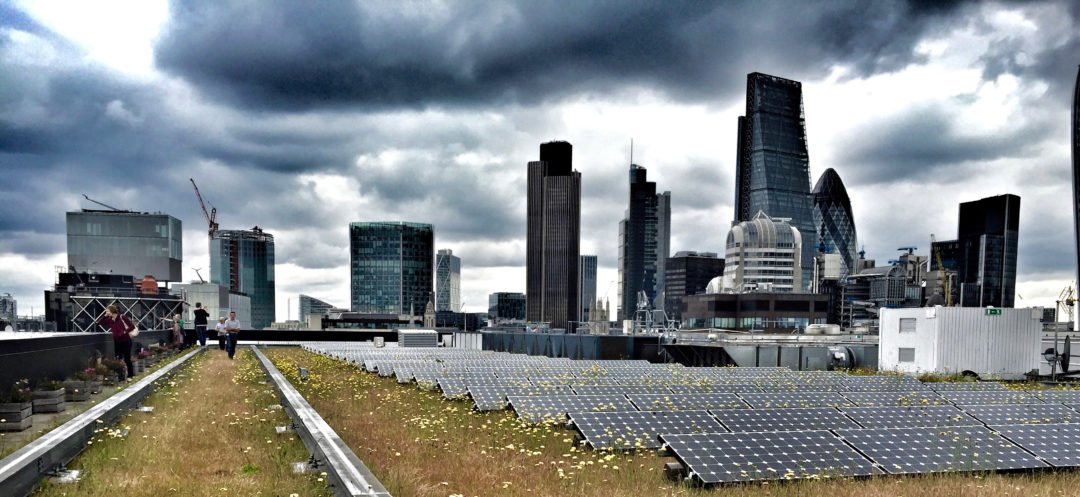 biosolar green roof UK