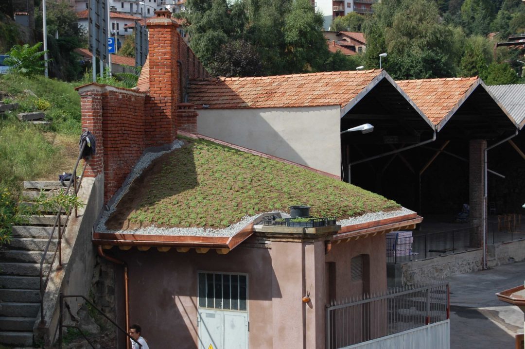 extensive green roof Italy