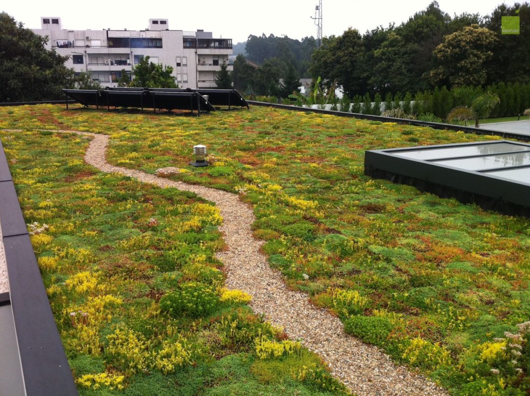 extensive green roof Portugal
