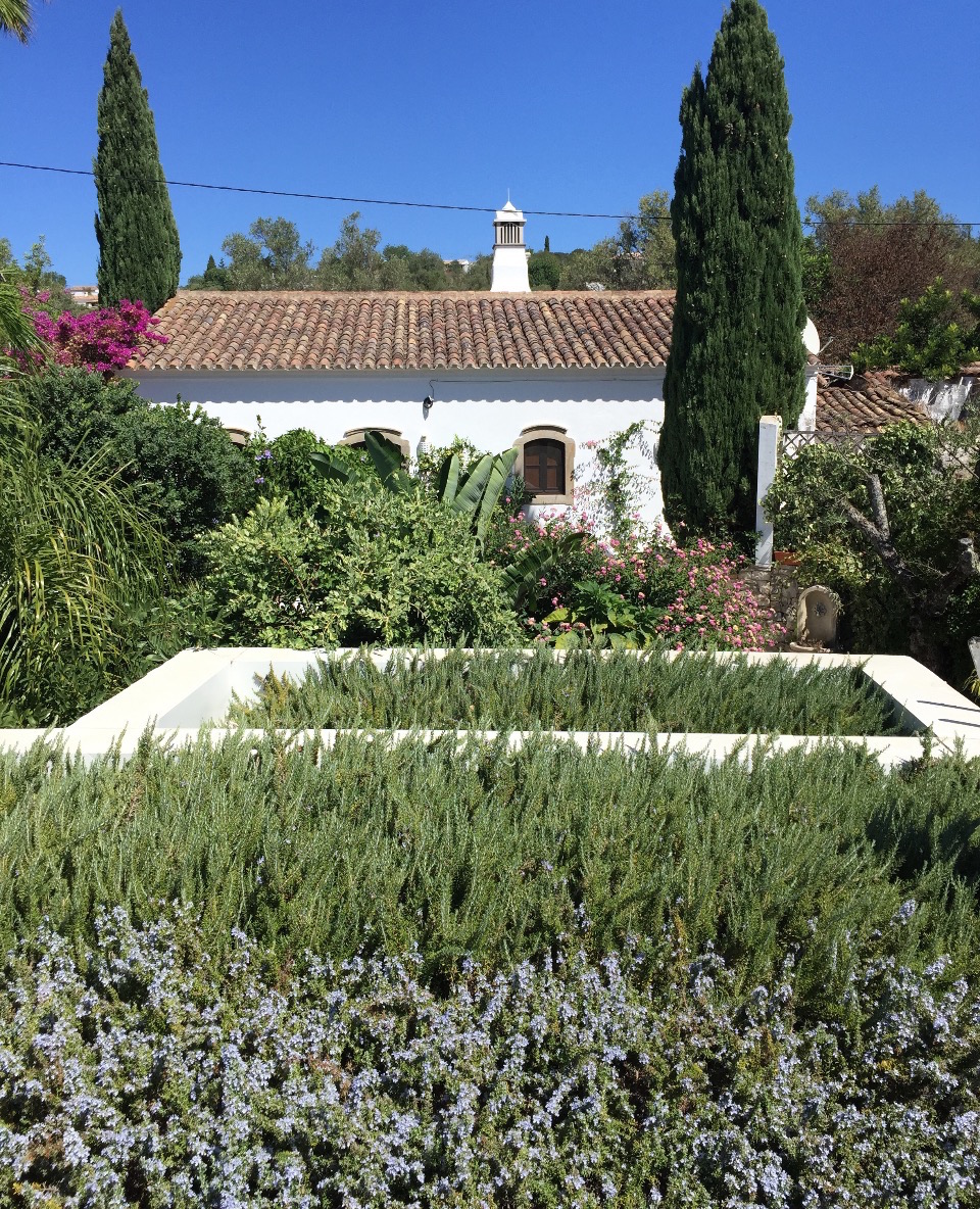 green roof Portugal