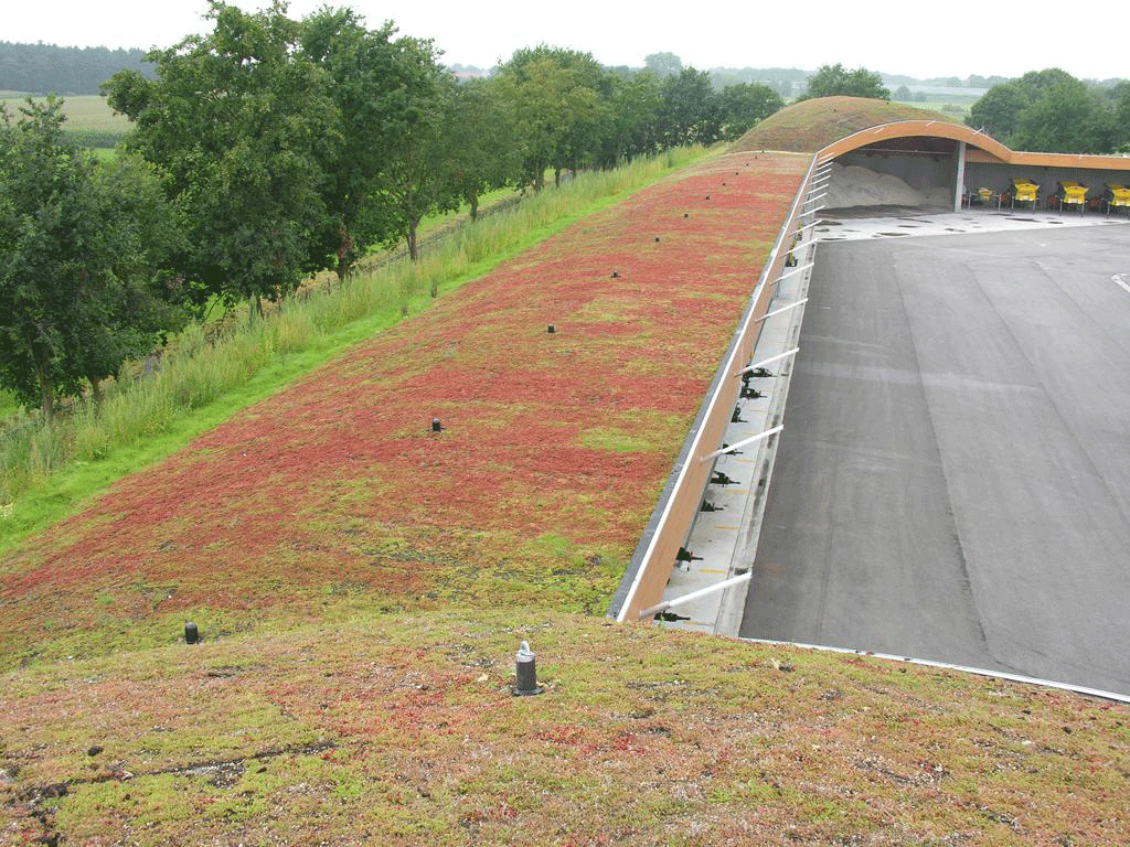 extensive green roofs