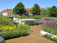 SGRA-SwedenAugustenborgs' Botanical Roof Gardens