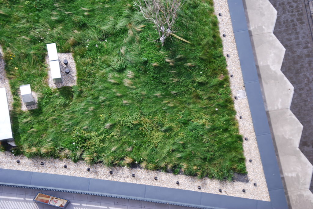 Green Roof and Wall standards overview