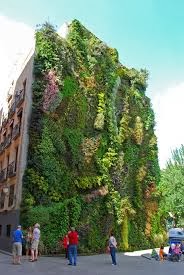 Technical Conference on Roof Greening and Vertical Landscaping in the Botanical Garden of Madrid