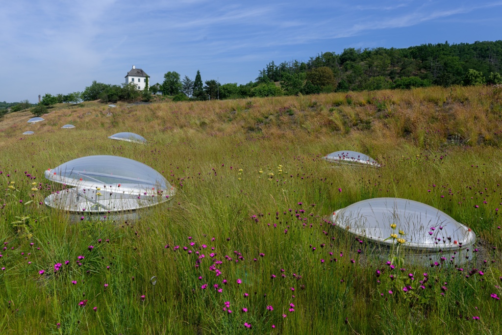 The results of the Green Roof of 2023 competition in Czech Republic