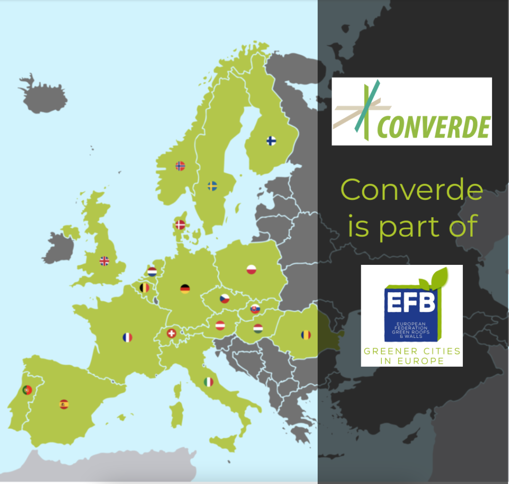 The EFB welcomes new member - Converde - the Romanian Association of Green Roof and Wall Constructors