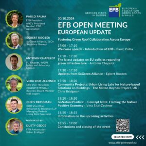 EFB Open Meeting - European Update @ MS Teams