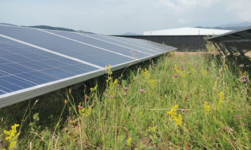 Contec Green Roof (C)Weiss-Tessbach (9)