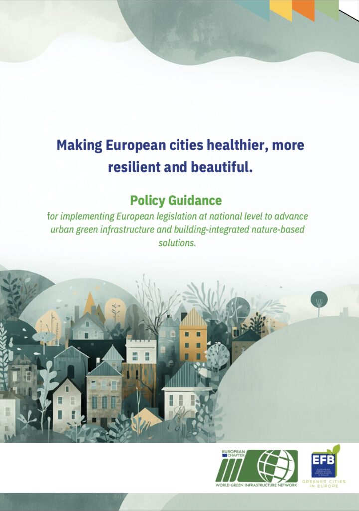 More Green on Europe’s Buildings: How New EU Legislation is Transforming Cities